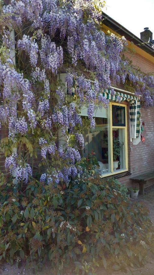 B&B De Vlinder Hardenberg Esterno foto