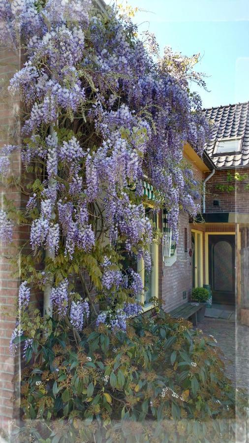 B&B De Vlinder Hardenberg Esterno foto