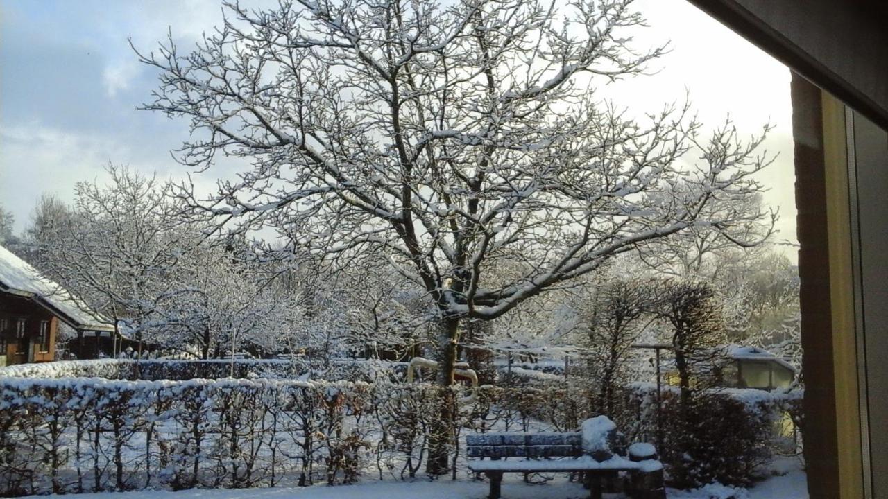 B&B De Vlinder Hardenberg Esterno foto