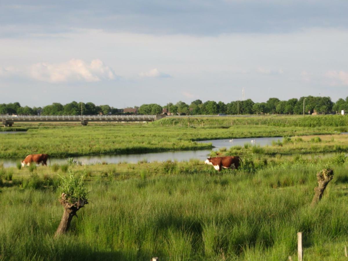 B&B De Vlinder Hardenberg Esterno foto