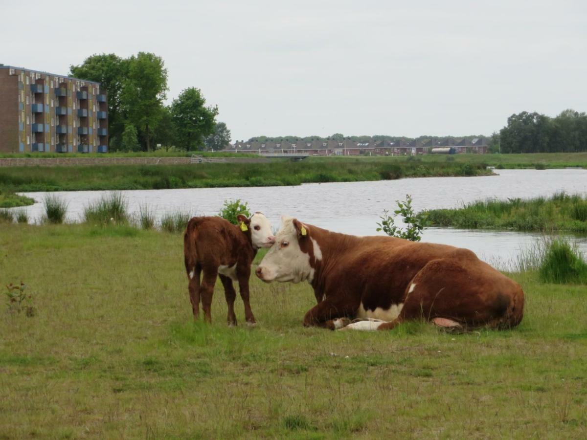 B&B De Vlinder Hardenberg Esterno foto